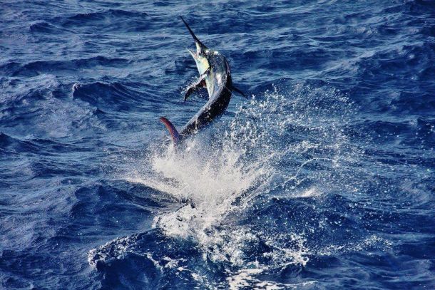 WAECO photo comp entry